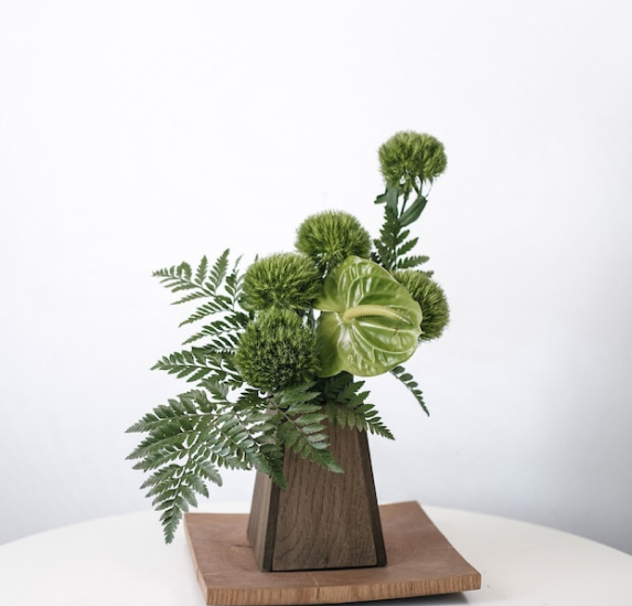 Portfolio Image